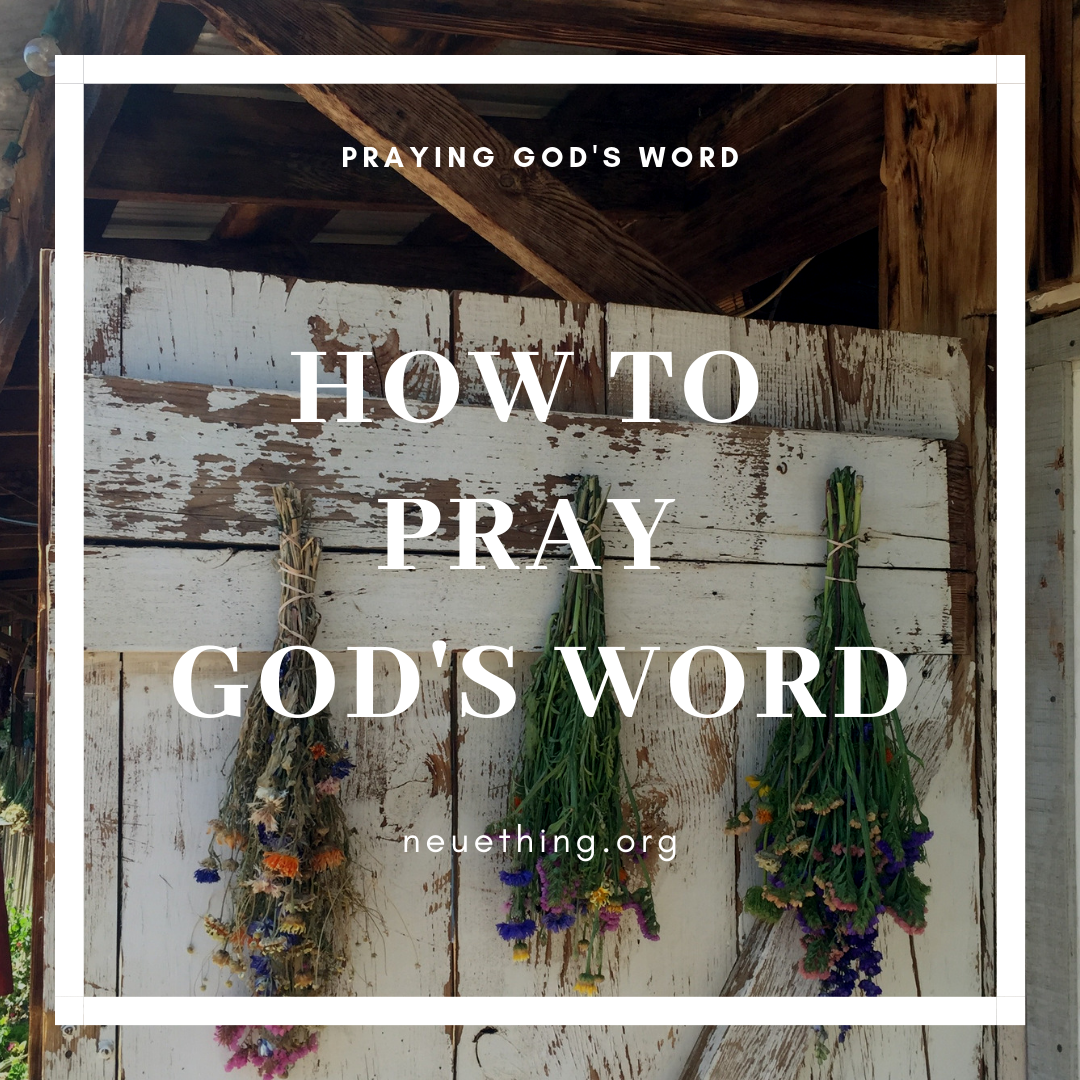 How to Pray God’s Word