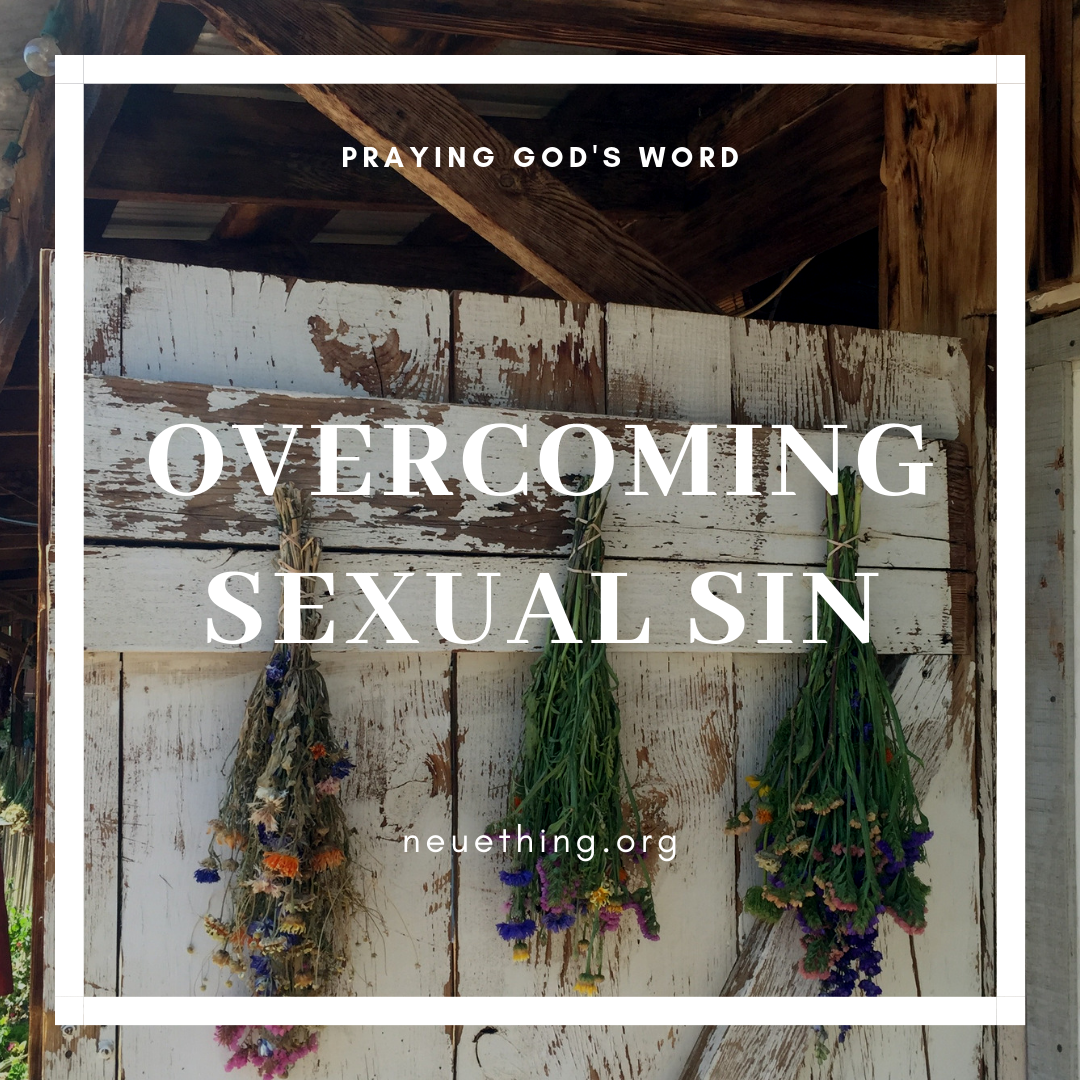 Overcoming Sexual Sin