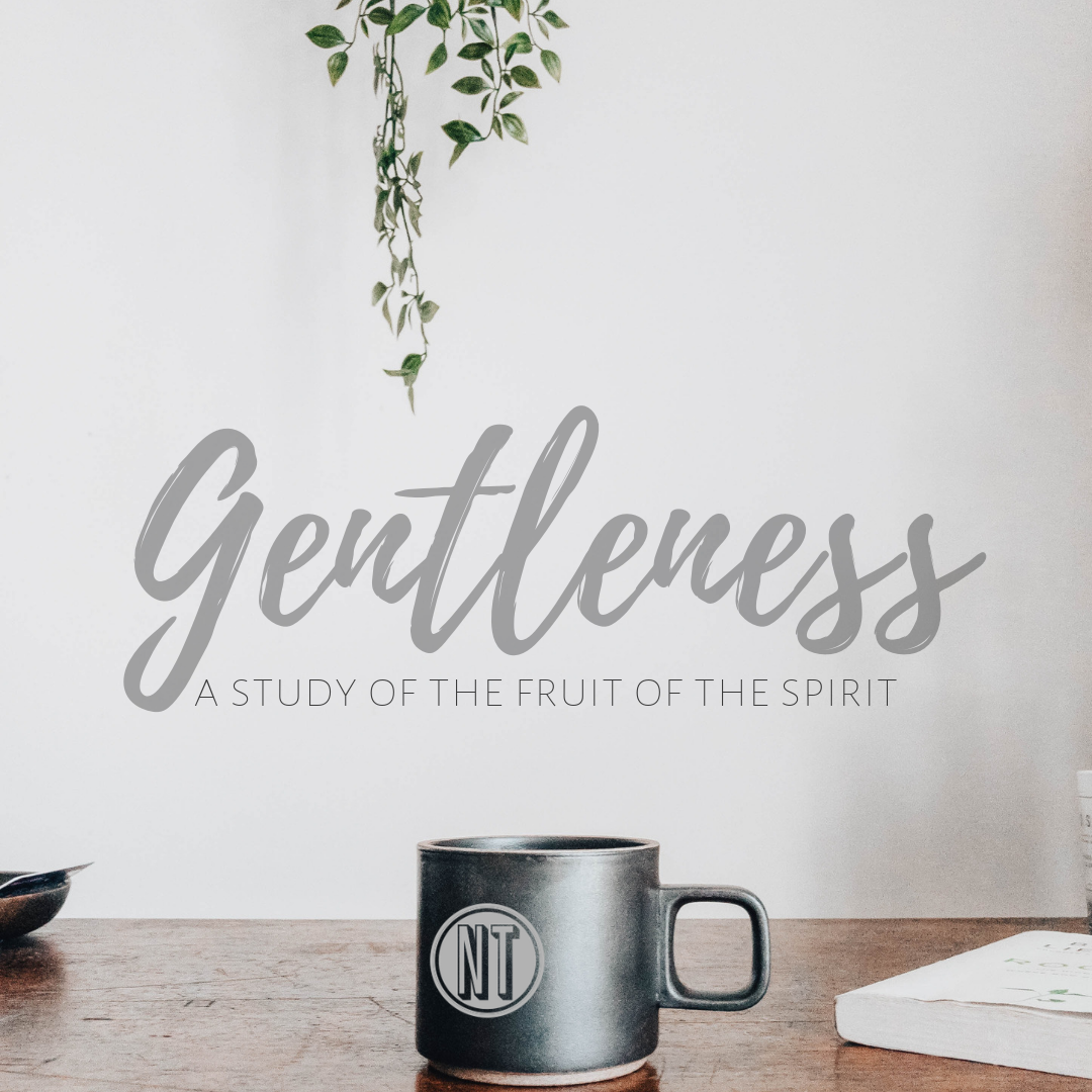 But the fruit of the Spirit is gentleness…